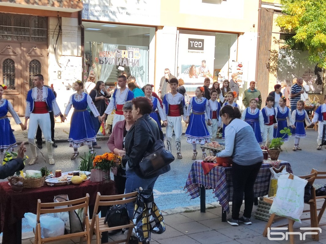 Празник на бозата в Радомир