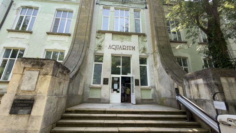 Аквариум Варна отваря врати безплатно за Деня на детето